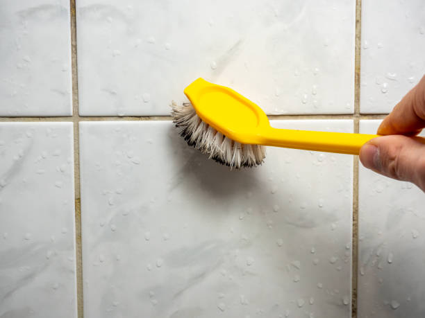 Best Residential Mold Remediation in Bayonet Point, FL